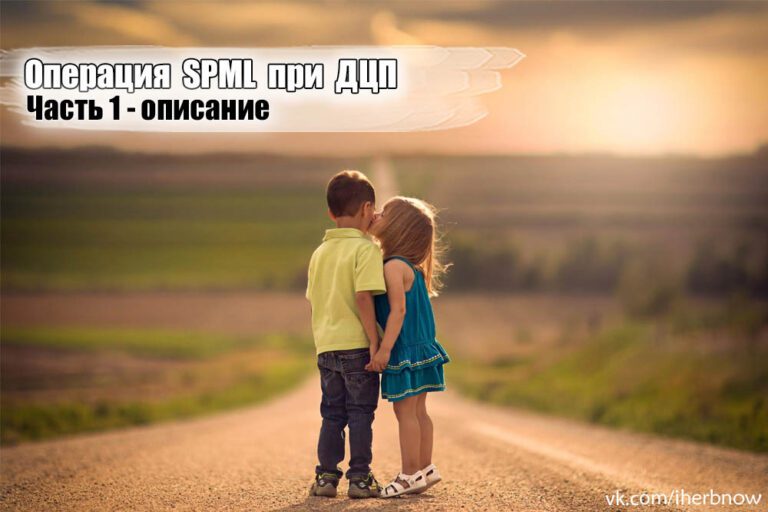 Подробнее о статье Описание операции СПМЛ SPML в США и Греции