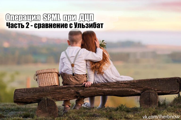 Подробнее о статье Безопасность и эффективность операции СПМЛ SPML